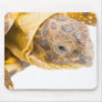 Testudo horsfieldi mouse pad