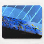 tex mousepads