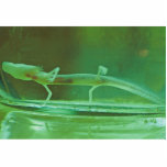 Texas Blind Salamander photo sculptures