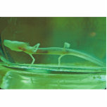 Texas Blind Salamander photo sculptures