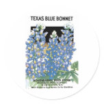 Texas Blue Bonnet, Roudabush's Seed Store stickers
