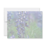 Texas Bluebonnet invitations