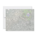 Texas Bluebonnet invitations