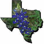 Texas Bluebonnet Pin photo sculptures