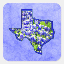 TEXAS BLUEBONNETS STICKERS