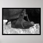 Texas Boot posters