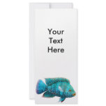 Texas Cichlid Fish Rack Card rack cards