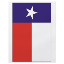 Texas Flag Flyer