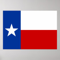 texas flag poster