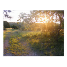 Texas Hill Country Post Cards