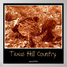 Texas Hill Country Posters