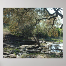 Texas Hill Country Print
