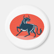 Texas Longhorn Bull attacking Magnets