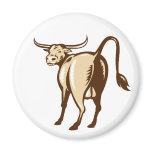 Texas Longhorn Bull Rear View Retro magnets