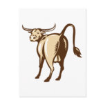 Texas Longhorn Bull Rear View Retro postcards