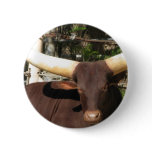 Texas Longhorn cattle buttons