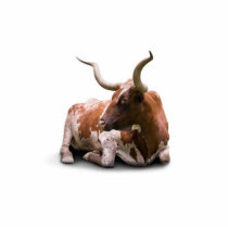 Texas Longhorn Key Chain Photo Sculpture