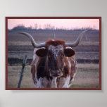 Texas Longhorn posters