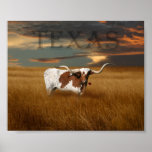 Texas Longhorn Poster posters