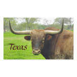 Texas Longhorn "Texas" Sticker