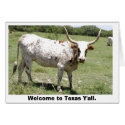 Texas Longhorn, Welcome to Texas Y'all. cards
