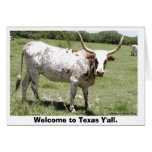 Texas Longhorn, Welcome to Texas Y'all. cards
