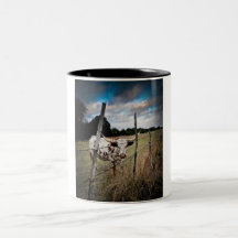 Texas Longhorns! Coffee Mugs