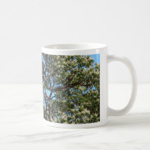 Texas Madrone Mugs
