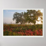 Texas Morning - Field of Wildflowers Posters