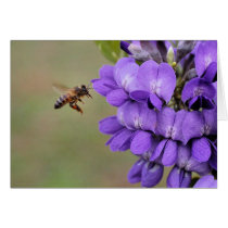 Texas Mountain Laurel Greeting Cards
