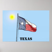 Texas State Flag Poster