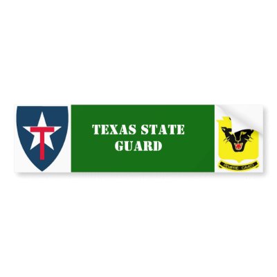 Texas State Guard 4th Reg. Bumper Sticker by timgould