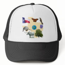 Texas State Symbols Mesh Hat