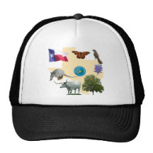 Texas State Symbols Mesh Hat
