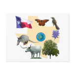 Texas State Symbols postcards