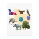 Texas State Symbols postcards