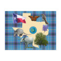 Texas State Symbols postcards