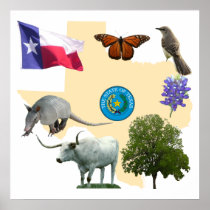 Texas State Symbols Print