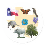 Texas State Symbols stickers