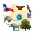 Texas State Symbols t-shirts