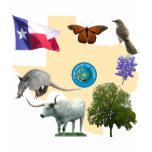 Texas State Symbols t-shirts