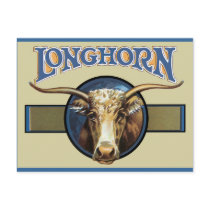 Texas Steer Longhorn Postcard