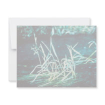 Texas Wild Rice Invites