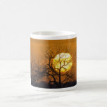 Texcas Sunset Mugs