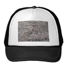 Texture of Dry Grass and Leaves Hat