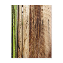 Texture Post Cards