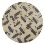 Texture Stickers 001
