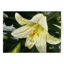 Textured Lilly Greeting Card