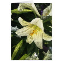 Textured Lilly Greeting Cards