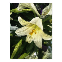 Textured Lilly Postcard